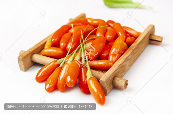新鮮枸杞