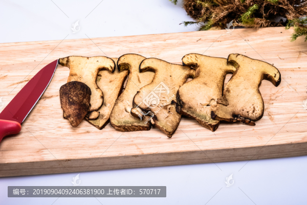 黑牛肝菌新鮮云南特色野生菌