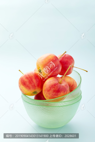 沙果8