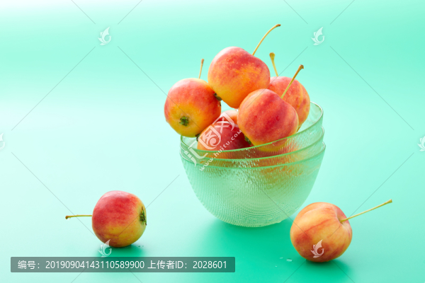 沙果13
