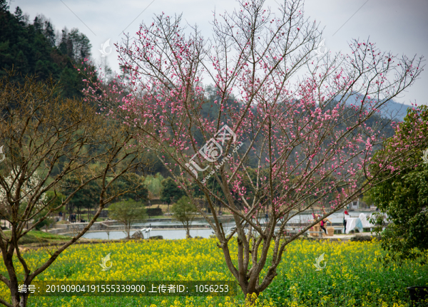 皖南山區(qū)