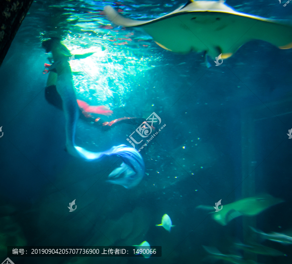 和鰩魚共舞的美人魚