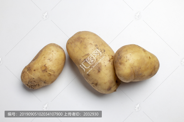 土豆馬鈴薯