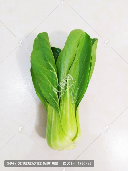 上海青