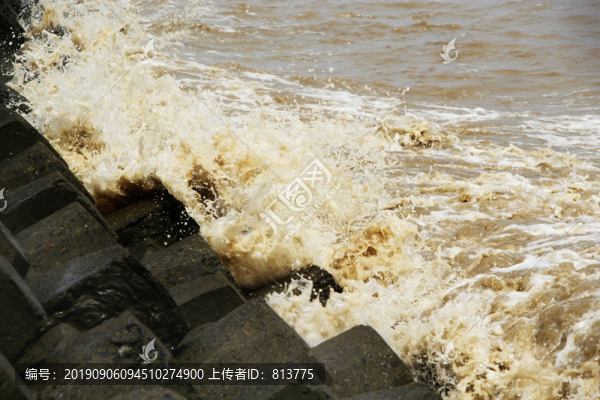 浪滔滔