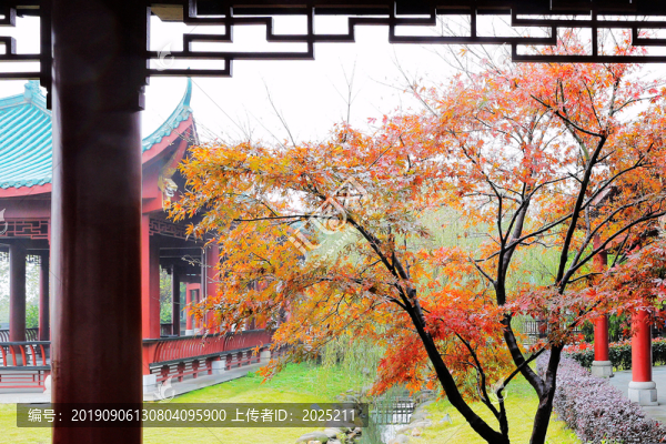 岳陽樓景區(qū)