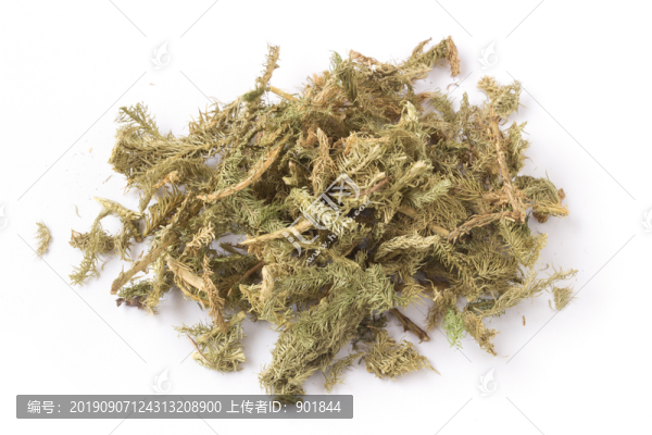 白色背景的中藥伸筋草