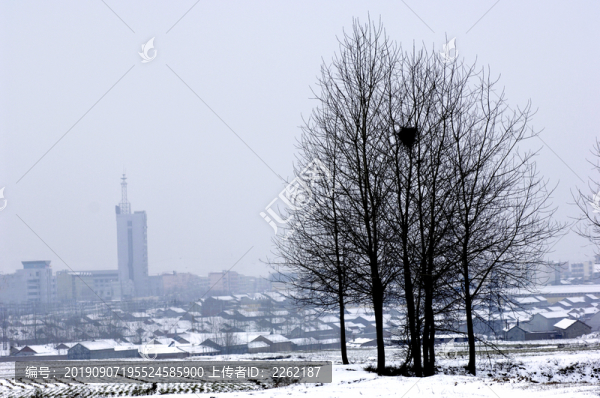 雪景
