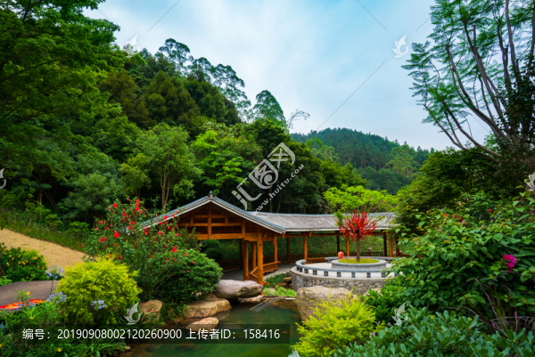廣西高峰森林公園生命河谷