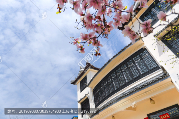 春色滿園