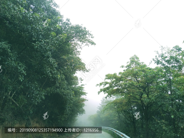 山間道路
