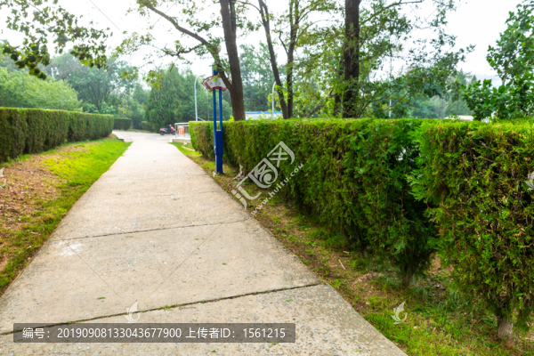 植物墻綠化墻
