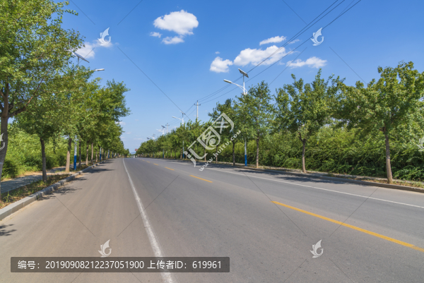 兩邊綠樹的瀝青公路通向遠方