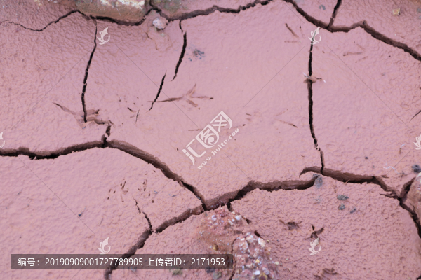 土地龜裂