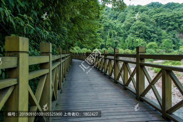 木棧道