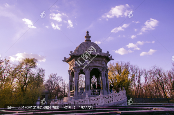 圓明園黃花陣