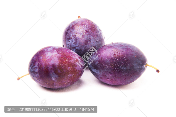西梅