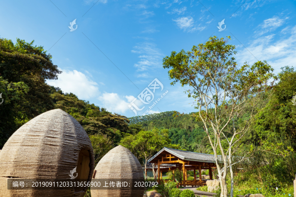 廣西高峰森林公園