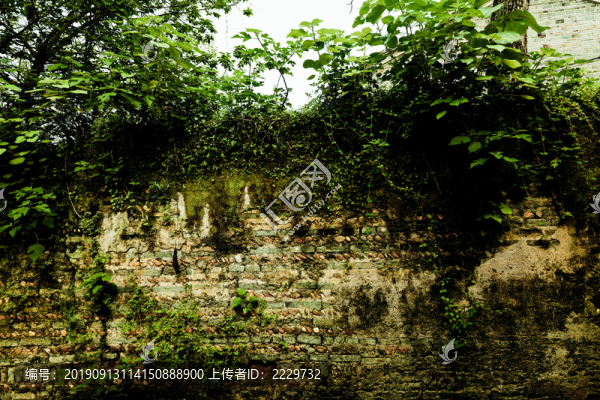 美陂古村