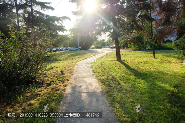 公園