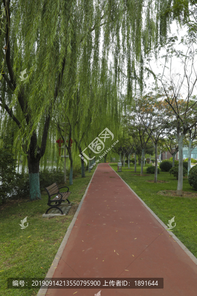 小路