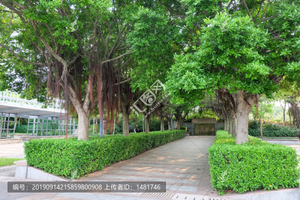 園林綠化
