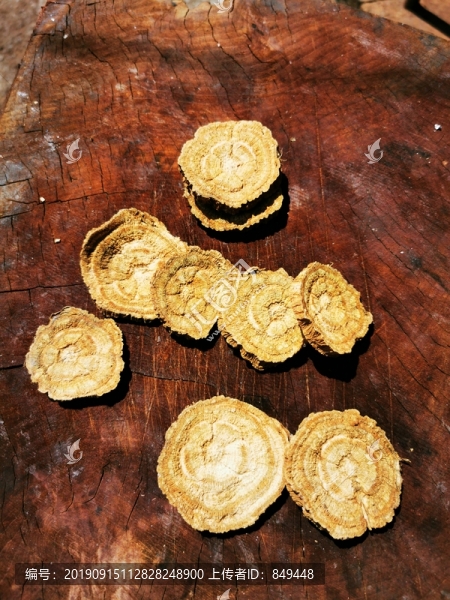 葛根
