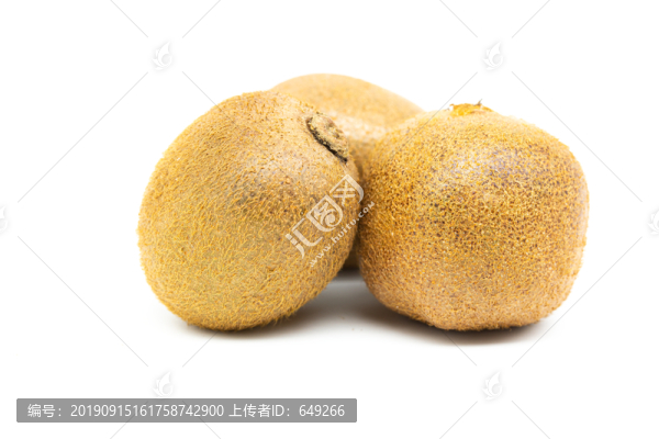 白底背景獼猴桃