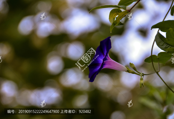 牽?；? title=