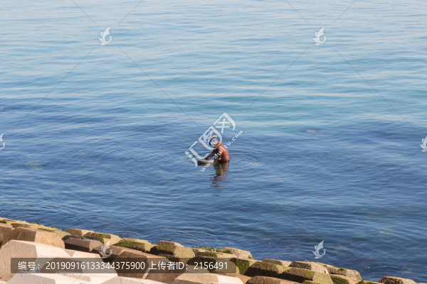 趕海