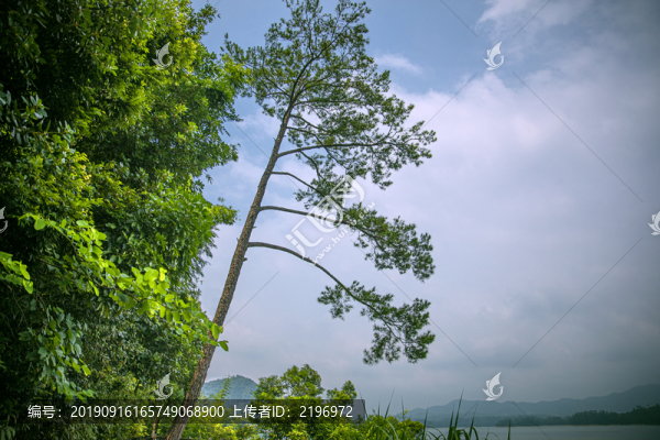 流溪松風(fēng)