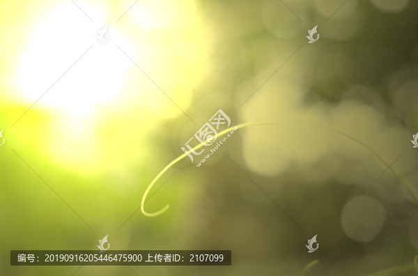 夕陽(yáng)下的果實(shí)