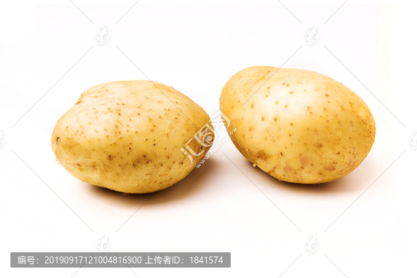 馬鈴薯