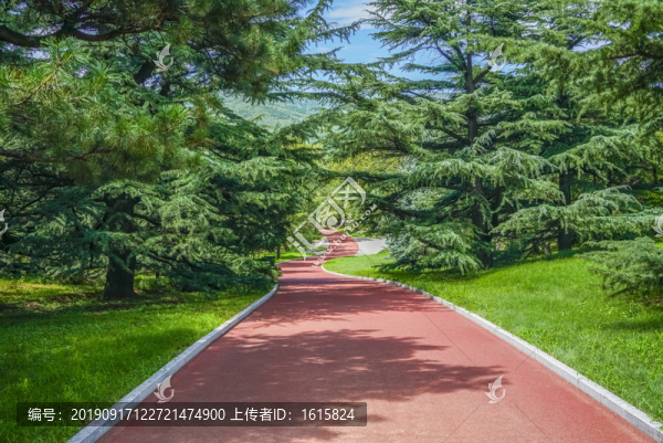 健身步道高清大圖