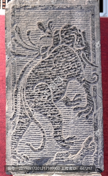大象