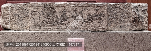嫦娥會(huì)玄武
