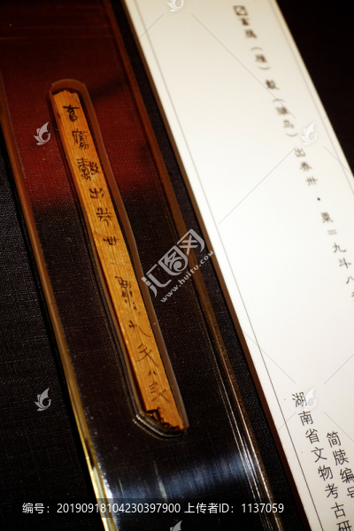 里耶秦簡鴈雁雛鳥簡牘