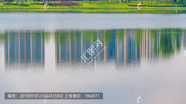 成都錦城湖的風光