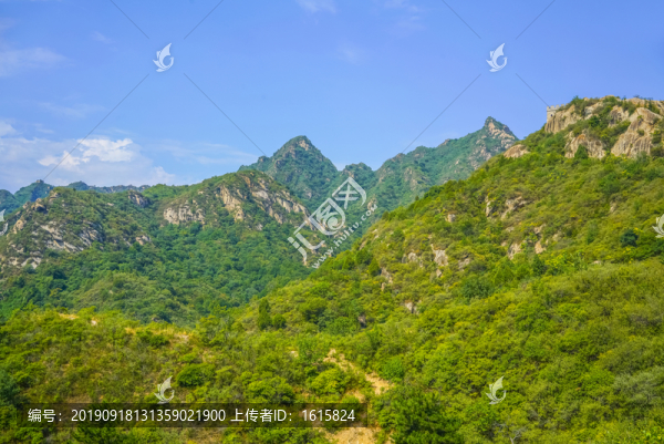 綠樹青山高清大圖