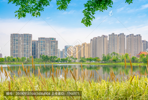 成都市錦城湖公園的風(fēng)光