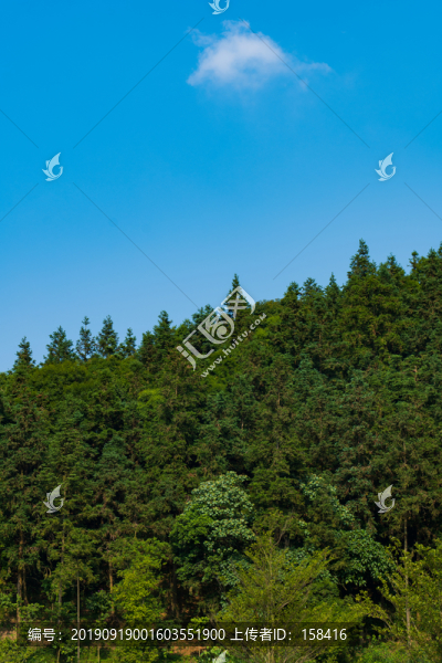 林區(qū)林場林海素材