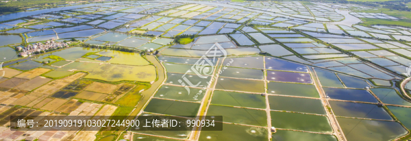 灘涂