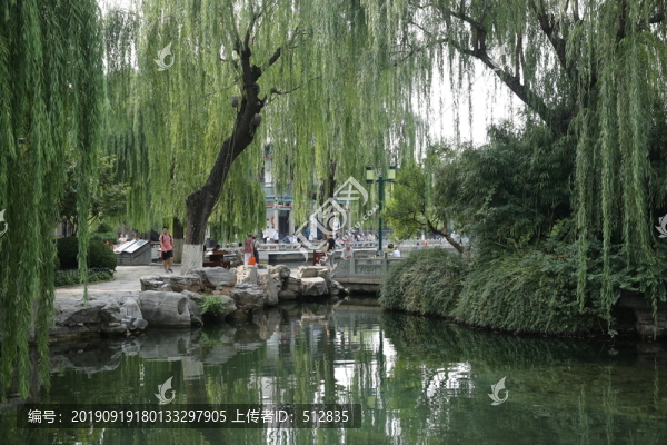 五龍?zhí)豆珗@