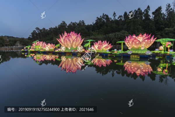 昆明世博園喜迎國慶70周年燈展