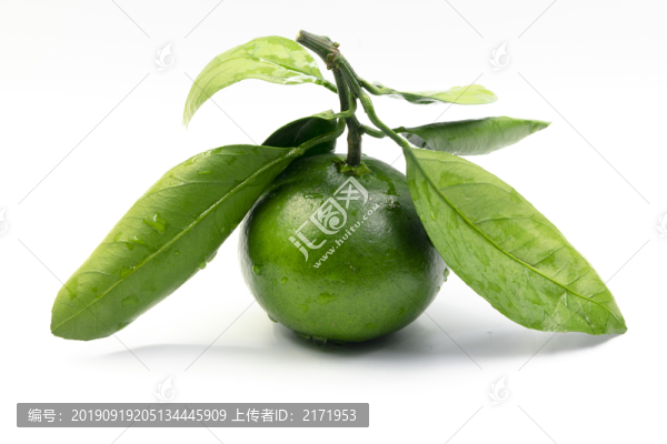 橘子