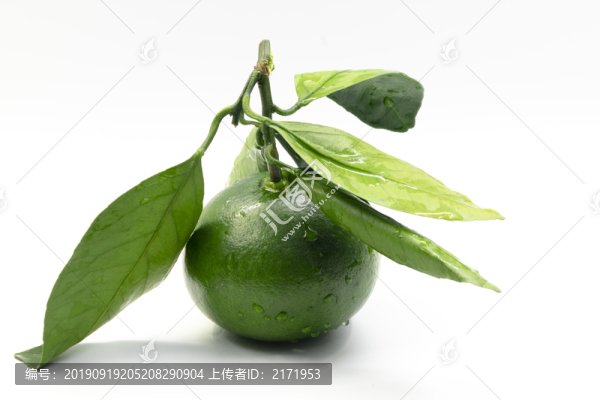 青橘子