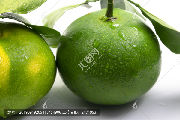 新鮮橘子