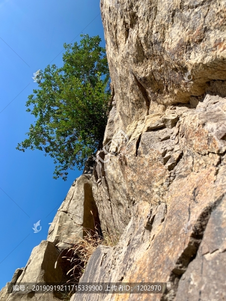 山