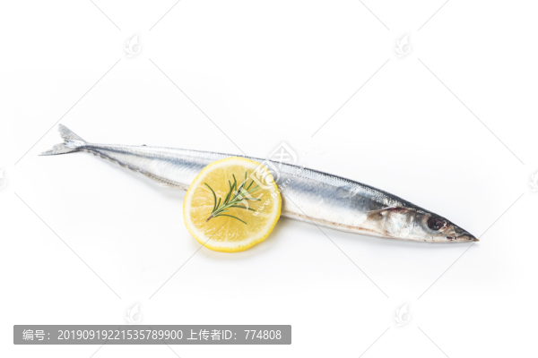 新鮮秋刀魚