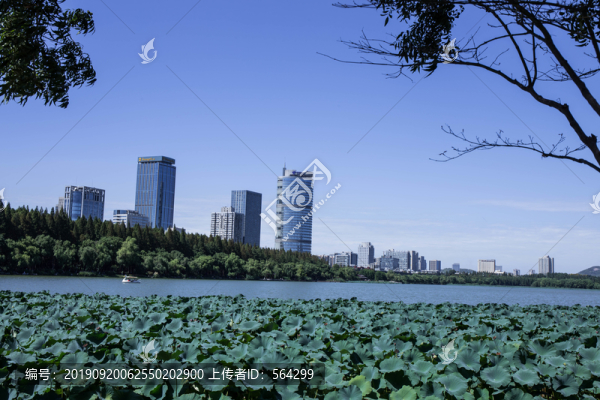 南京玄武湖風光